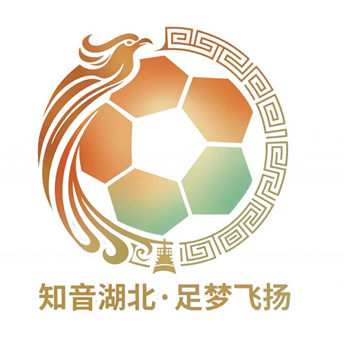 湖北省城市足球联赛 十堰武当队VS荆州恒隆队20260425